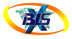 BLSX LTD